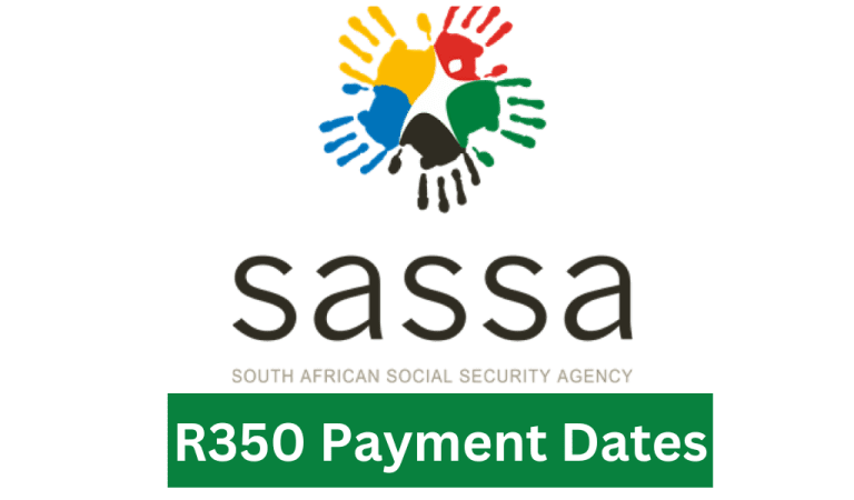 Sassa Status Check